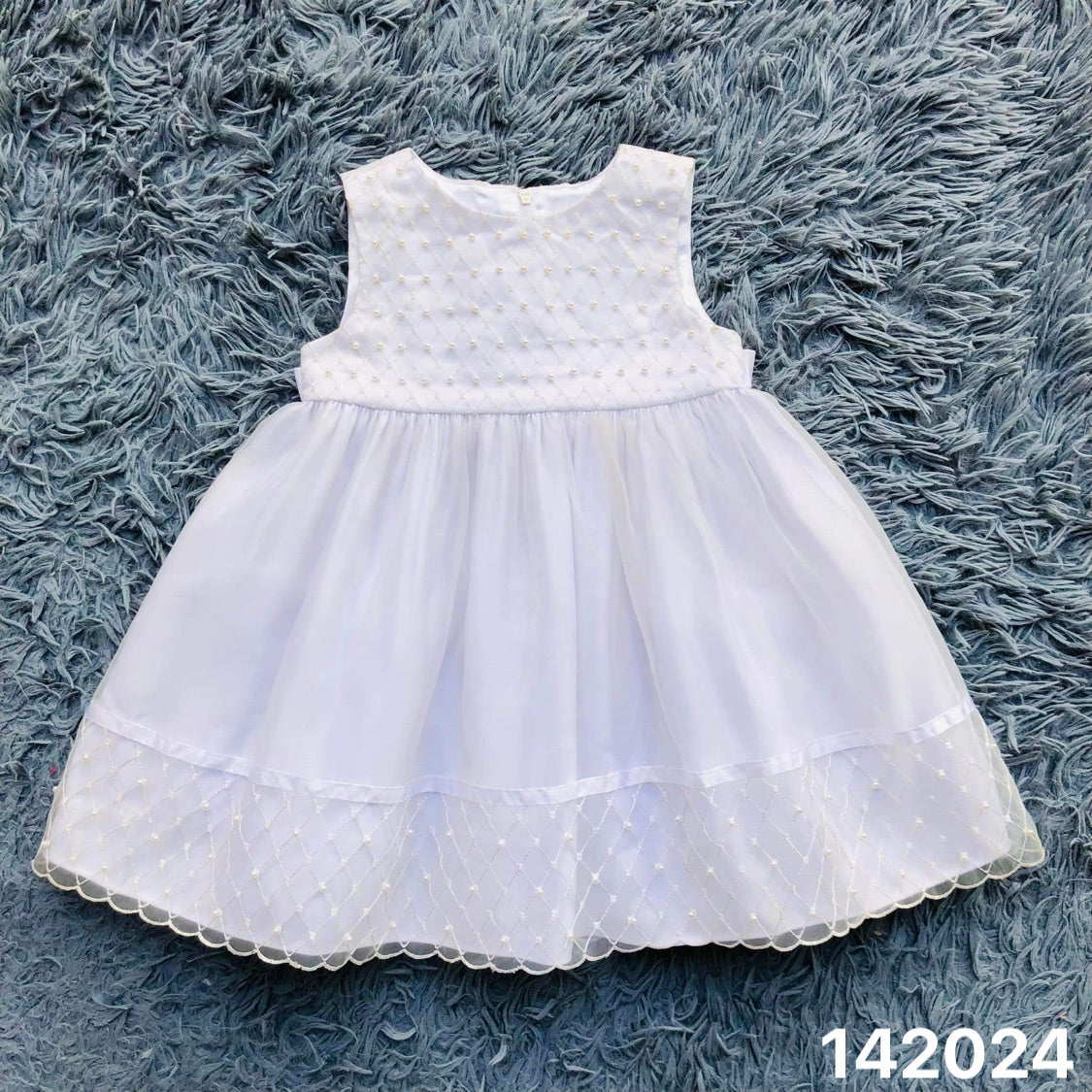 142024 Phillscia (white)