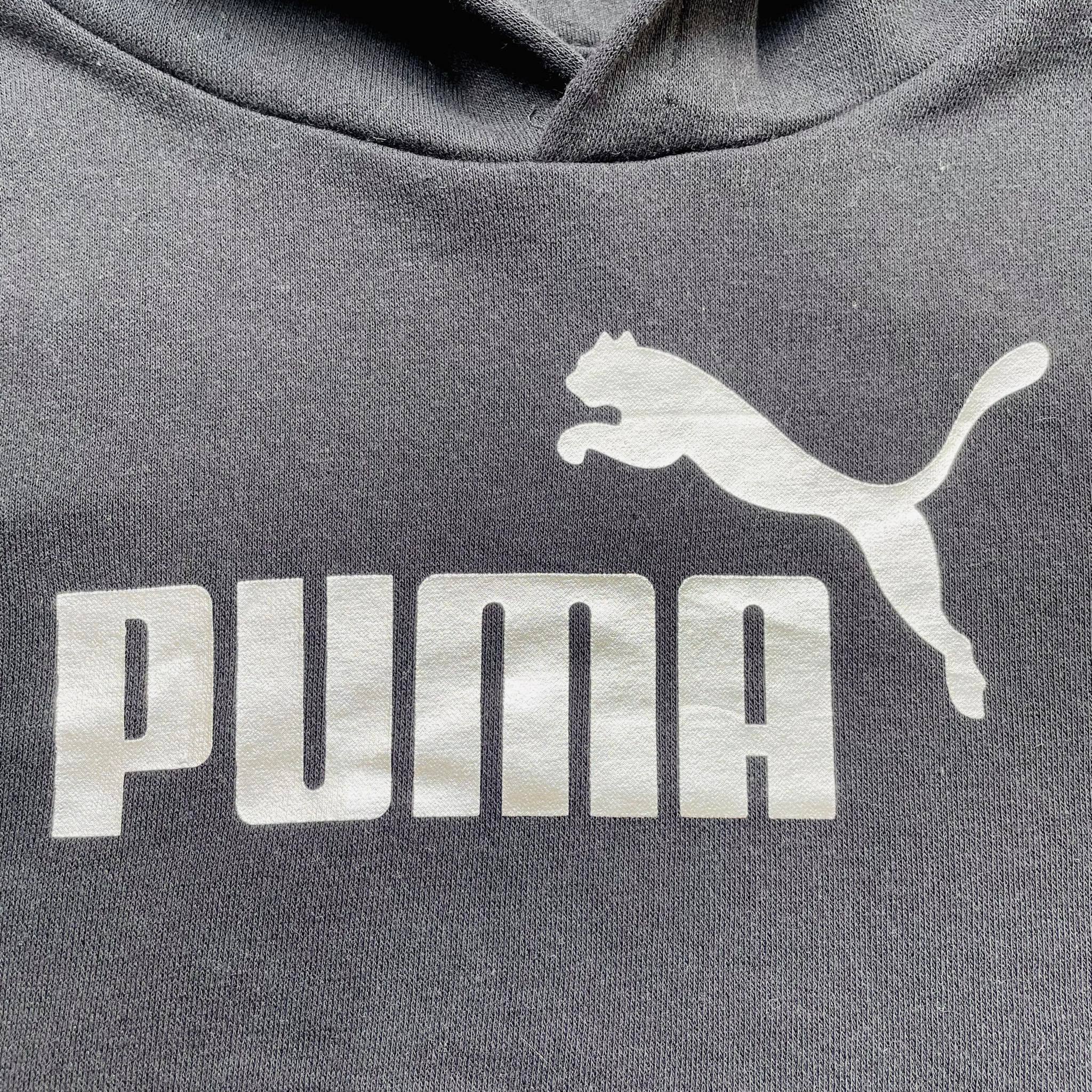 139055 Puma