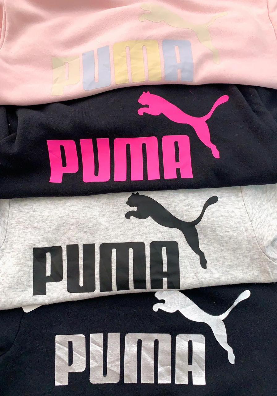 139055 Puma