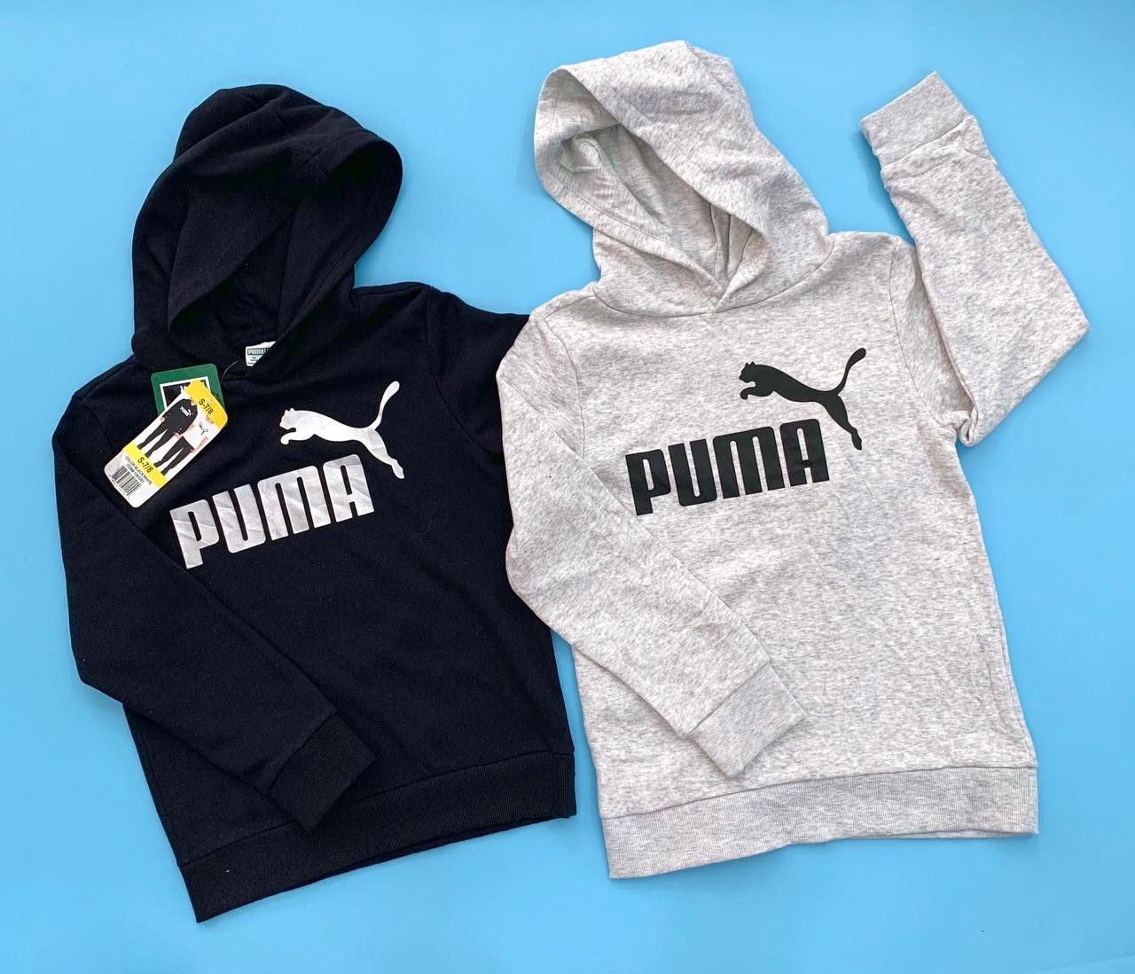 139055 Puma