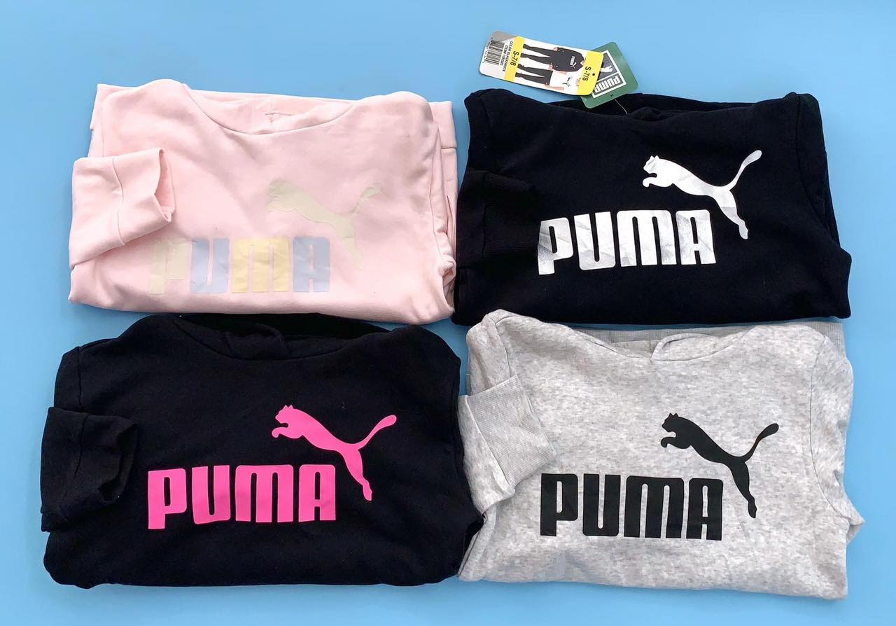 139055 Puma