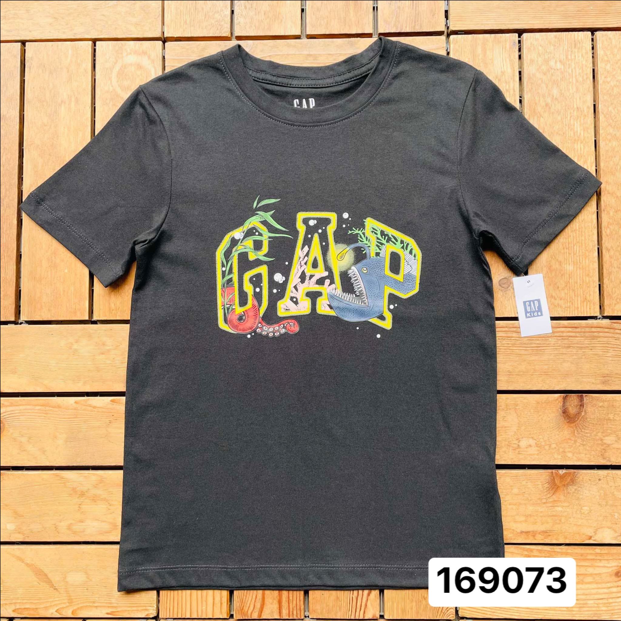 169073 Gap