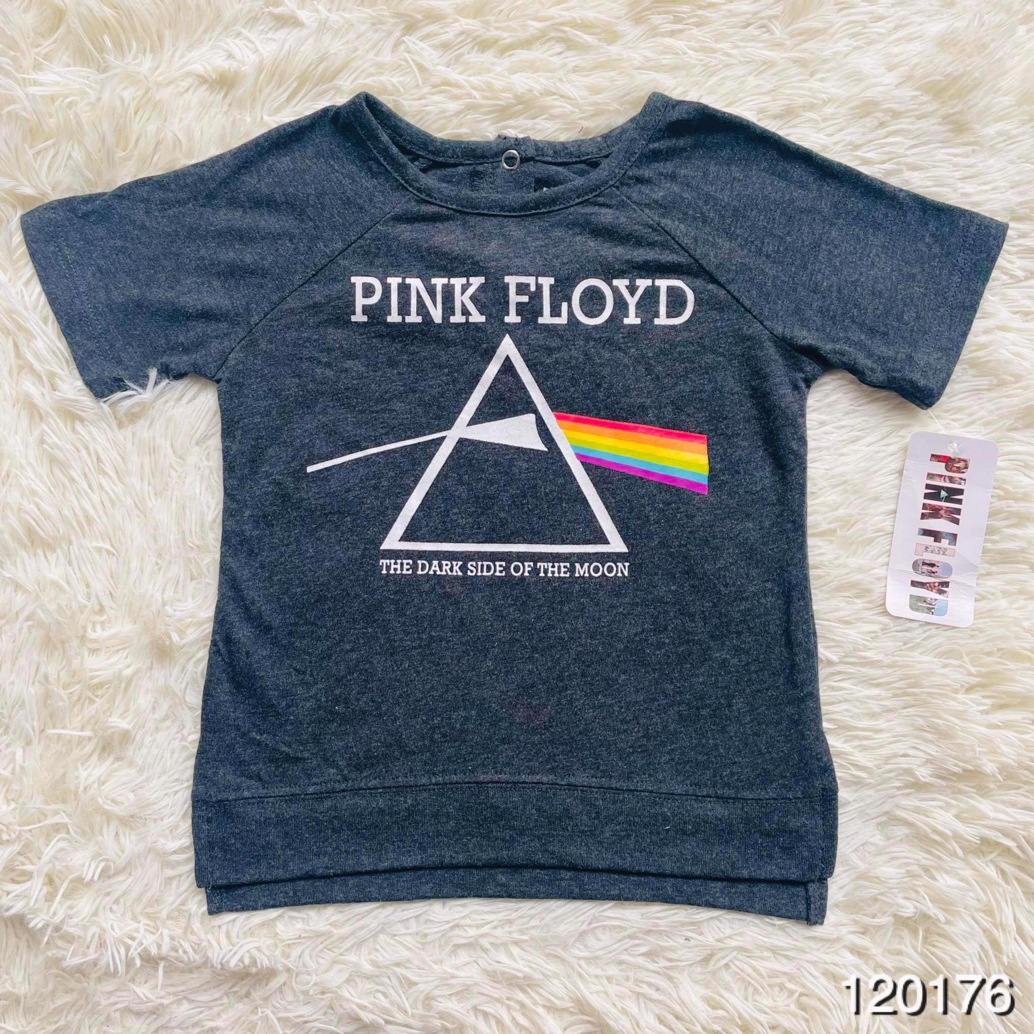 Pink Floyd 120176